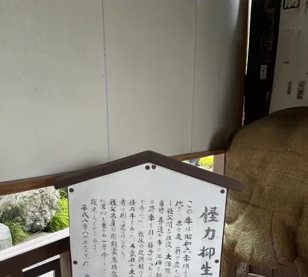 野坂寺の写真・動画_image_436628