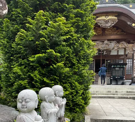 野坂寺の写真・動画_image_436637