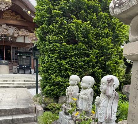 野坂寺の写真・動画_image_436639