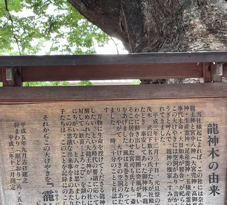 今宮坊（秩父三十四観音霊場第十四番札所）の写真・動画_image_436663