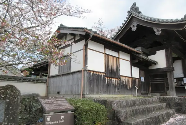 橘寺の写真・動画_image_436680