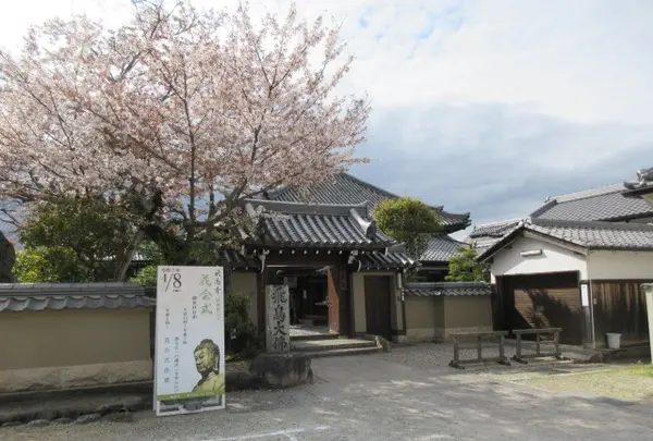 安居院（飛鳥寺）の写真・動画_image_436681