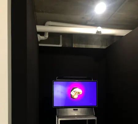 The 5th Floorの写真・動画_image_436686