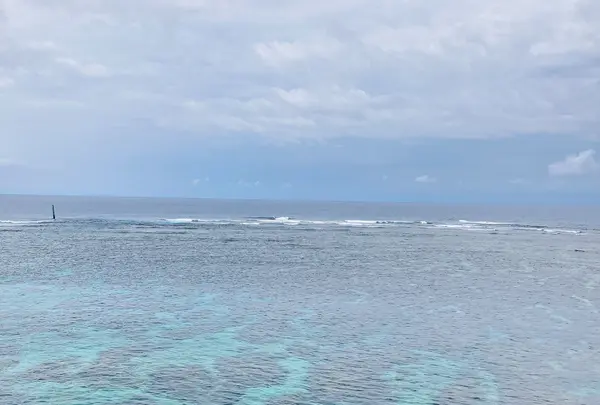 イムギャーマリンガーデンの写真・動画_image_436750