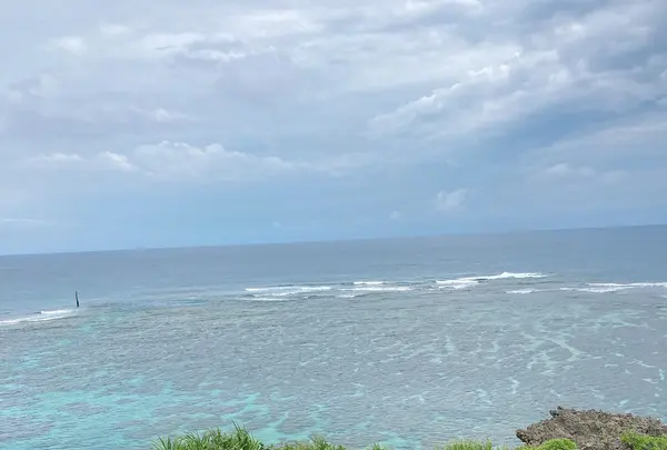 イムギャーマリンガーデンの写真・動画_image_436751