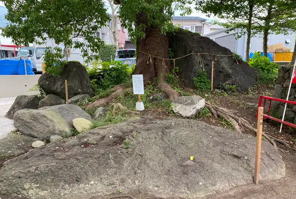 七ツ石稲荷神社の写真・動画_image_436762
