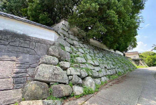 中津城（奥平家歴史資料館）の写真・動画_image_436764