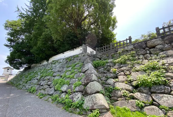中津城（奥平家歴史資料館）の写真・動画_image_436771