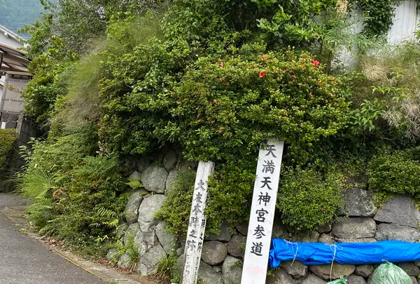 大友義統本陣跡の写真・動画_image_436784