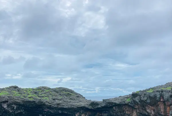 通り池の写真・動画_image_436796