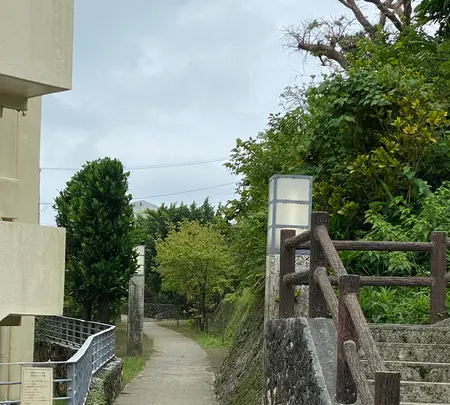 首里崎山町サガリバナ並木の写真・動画_image_436940