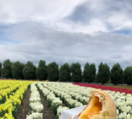 ファーム富田の写真・動画_image_436950