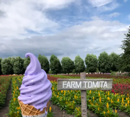 ファーム富田の写真・動画_image_436952