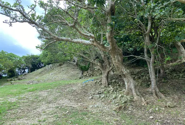玉城城跡の写真・動画_image_436960