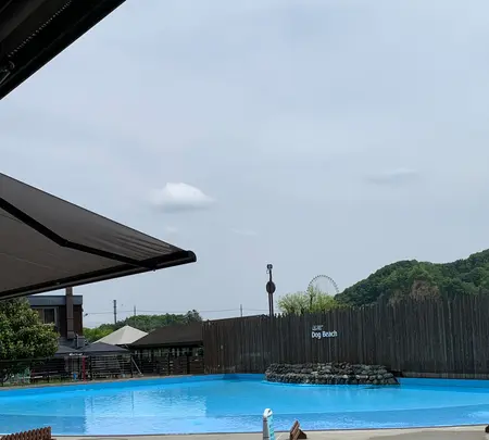 Wonderful Nature Village（わんダフルネイチャーヴィレッジ）の写真・動画_image_436976