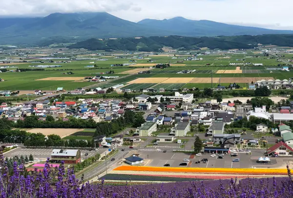 なかふらのフラワーパークの写真・動画_image_436997