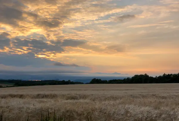 フロンティア　フラヌイ温泉の写真・動画_image_437126