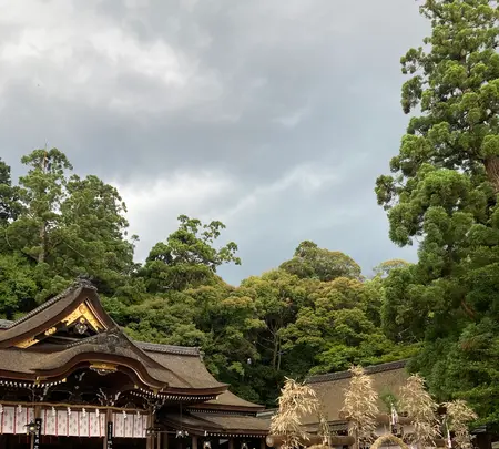 大神神社の写真・動画_image_437135