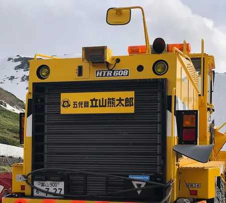 雪の大谷の写真・動画_image_437207