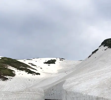 雪の大谷の写真・動画_image_437210