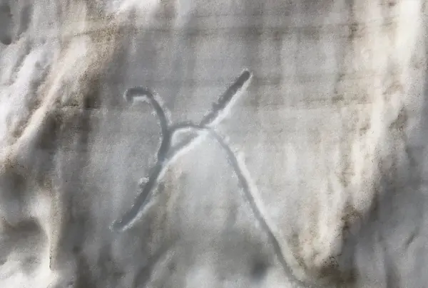 雪の大谷の写真・動画_image_437213