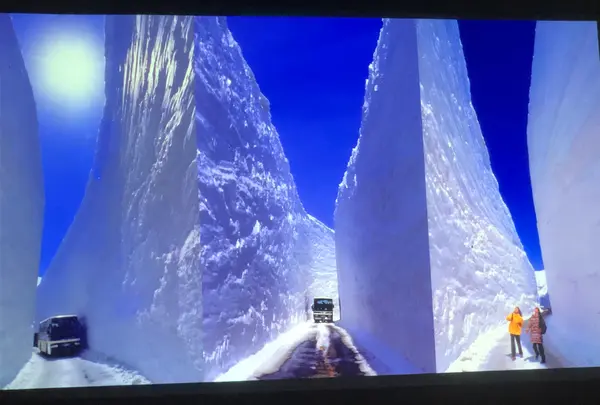 雪の大谷の写真・動画_image_437218