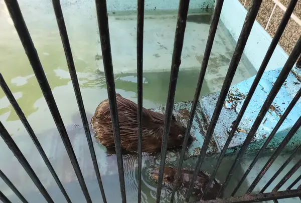 帯広動物園の写真・動画_image_437229