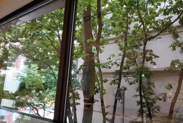 六花亭 帯広本店の写真・動画_image_437239