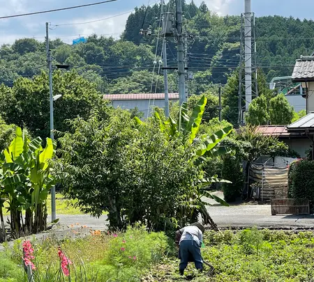 実正山定林寺の写真・動画_image_437802