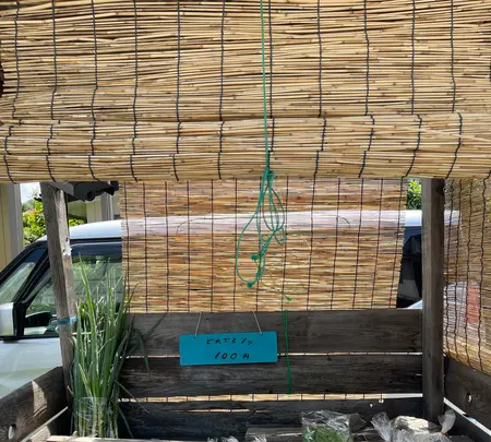 神門寺の写真・動画_image_437806