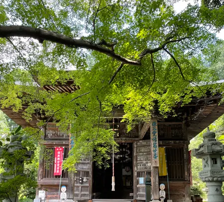岩之上堂の写真・動画_image_437826