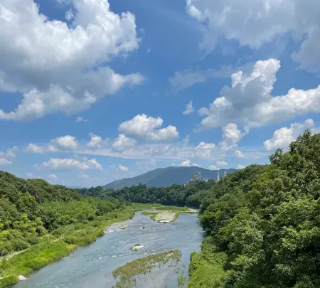 龍石寺の写真・動画_image_437832