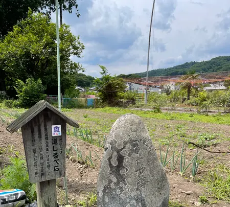 岩之上堂の写真・動画_image_437835