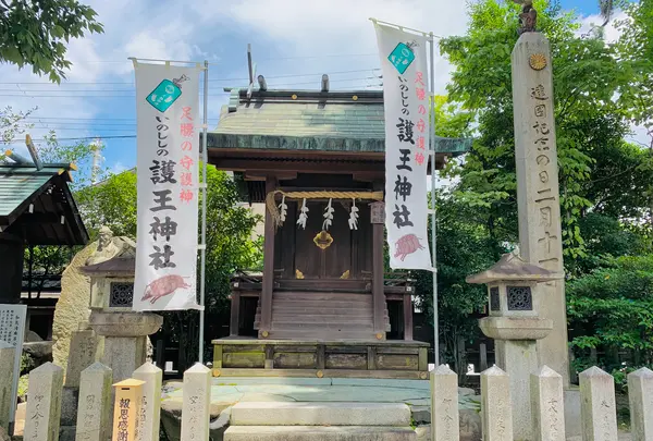 護王神社の写真・動画_image_437867