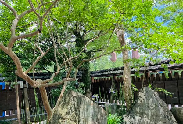 護王神社の写真・動画_image_437869