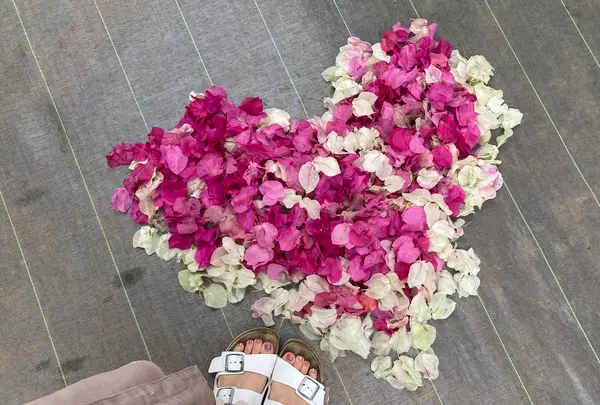 ユートピアファーム宮古島の写真・動画_image_437907