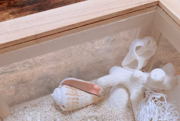 ハンドメイドアクセサリー utataneの写真・動画_image_437911