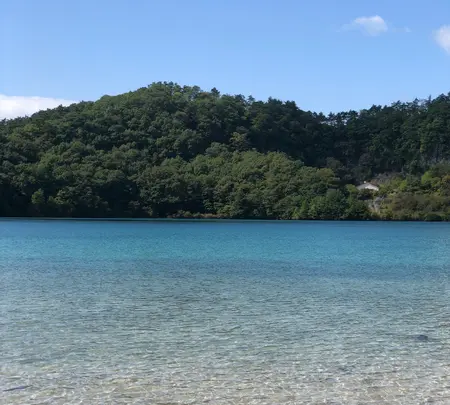 潟沼の写真・動画_image_437950