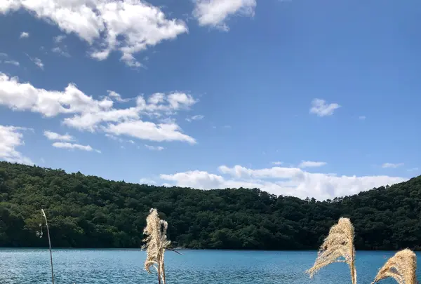 潟沼の写真・動画_image_437952