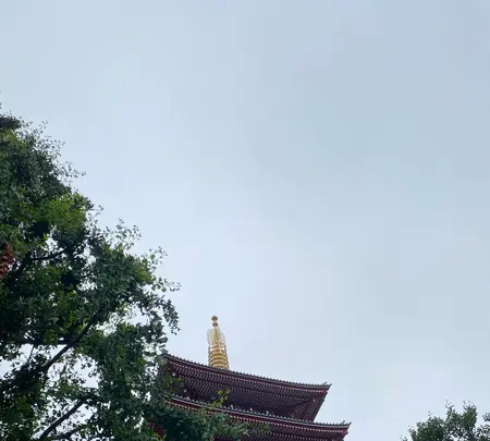 浅草寺の写真・動画_image_438108