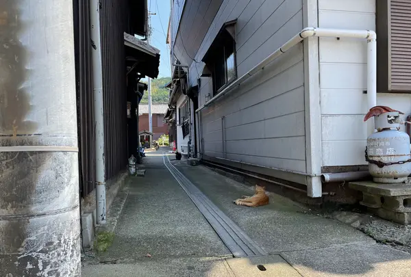 真鍋島の写真・動画_image_438193
