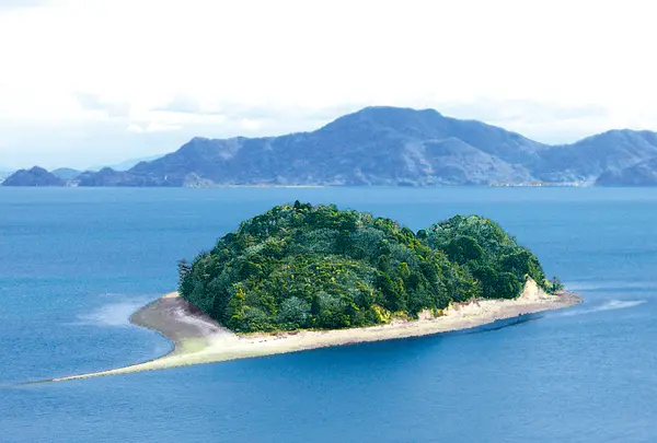 小芝島（ハート島）展望地の写真・動画_image_438230