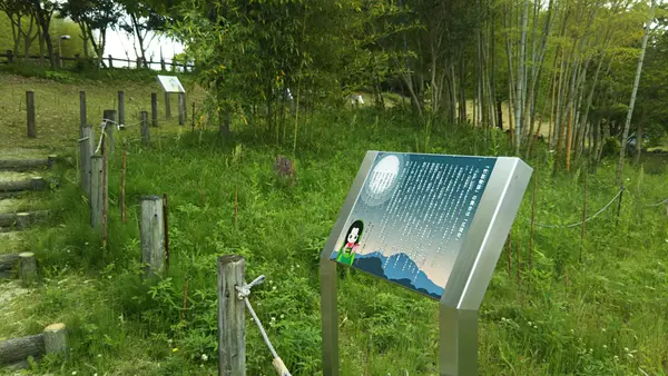竹取公園の写真・動画_image_438251