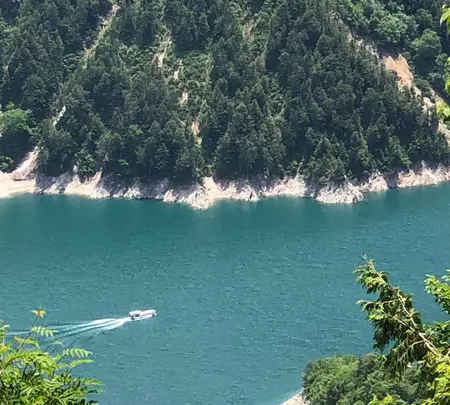 黒部平駅の写真・動画_image_438307