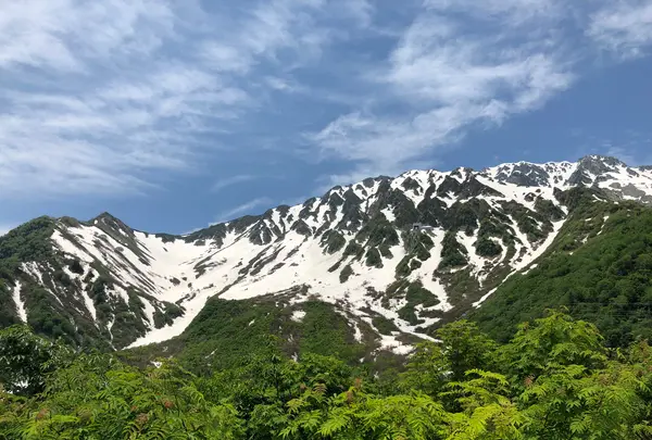 黒部平駅の写真・動画_image_438310