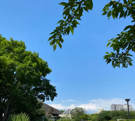 木場公園の写真・動画_image_438430