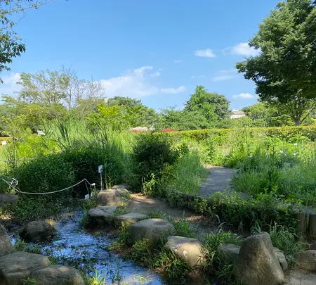 木場公園の写真・動画_image_438431