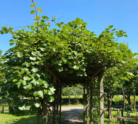 木場公園の写真・動画_image_438432