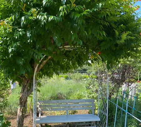 木場公園の写真・動画_image_438433