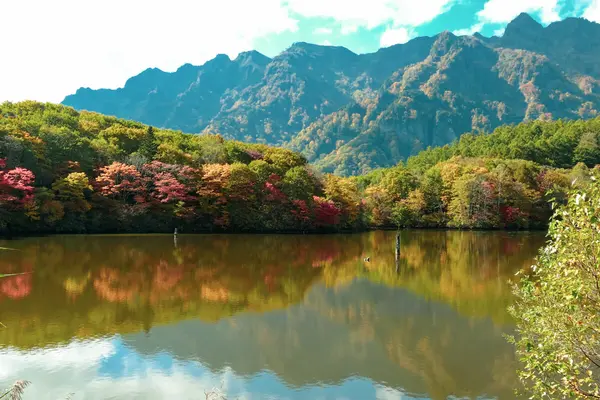 戸隠神社の写真・動画_image_438446